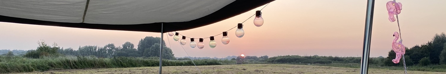 Hoe is het eigenlijk met Nellie?